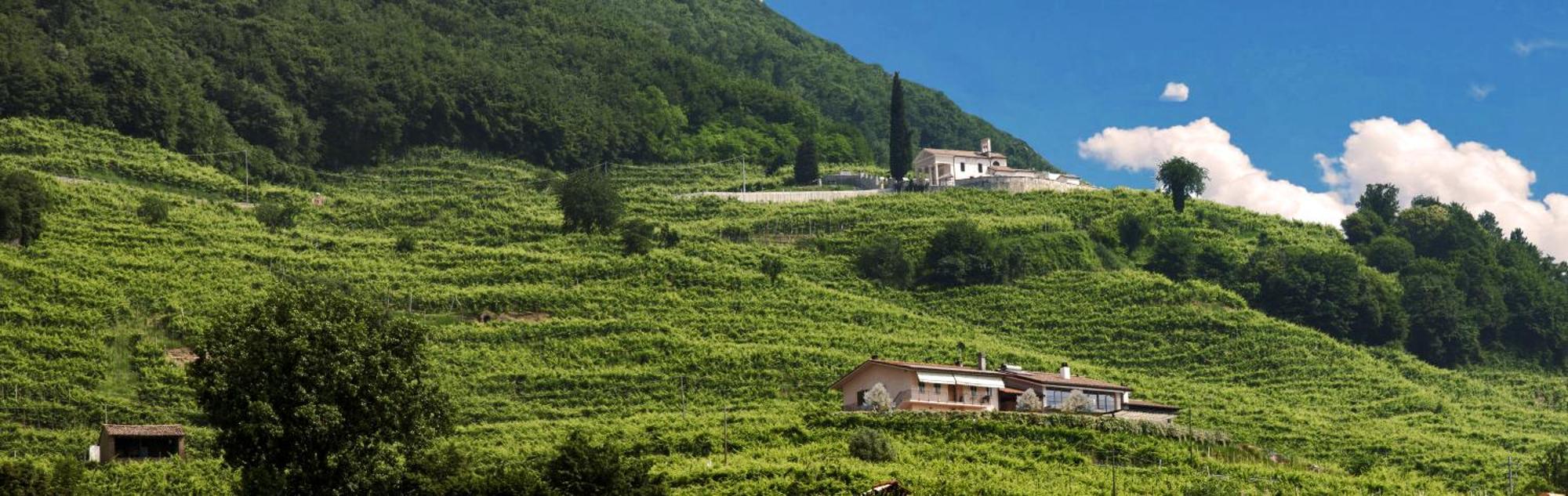 Casa Bortolin Bed and Breakfast Valdobbiadene Εξωτερικό φωτογραφία